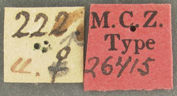 Media type: image; Entomology 26415   Aspect: labels